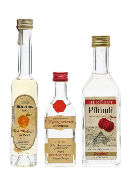 Assorted Fruit Brandy Berghof, Bolyhos & Schladerer 3 x 3cl-10cl