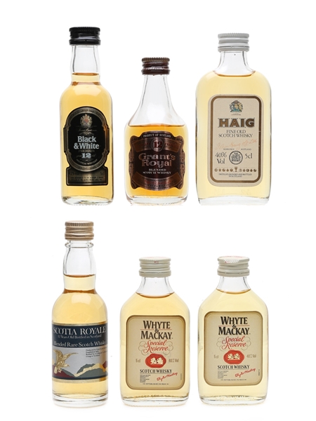 Assorted Blended Scotch Whisky Black & White, Grant's Royal, Haig, Scotia Royale, Whyte & Mackay 6 x 5cl