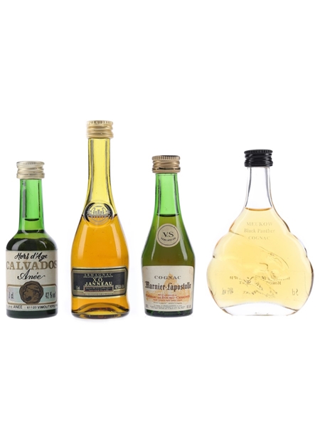 Assorted Armagnac, Calvados & Cognac Janneau, Anee, Marnier Lapostolle, Meukow 4 x 3-5cl