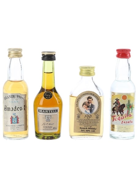 Assorted Spirits Of The World Brandy, Cognac, Tequila, Whisky 4 x 5cl