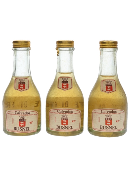 Busnel Calvados Bottled 1960s-1970s - Ferraretto 3 x 3cl / 42%