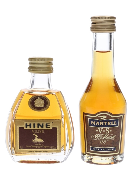 Hine VSOP & Martell 3 Star VS  2 x 3cl / 40%