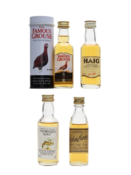 Assorted Blended Whisky Famous Grouse, Haig, Inebriated Newt & John Barr 4 x 5cl / 40%