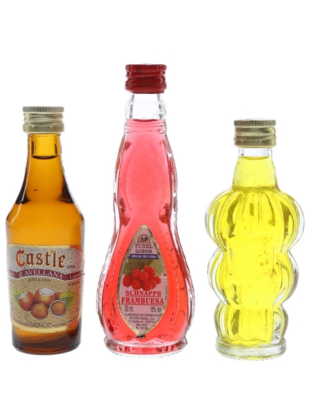 Assorted Spanish Liqueurs Castle d'Avellana, Cocal, Tunel 3 x 4cl-5cl