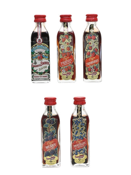 Gabriel Boudier Liqueurs Assorted Miniatures 5 x 4cl