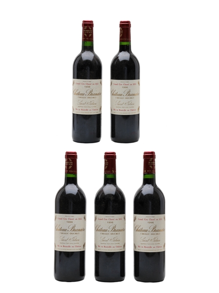 Chateau Branaire Ducru 1996 Saint Julien 5 x 75cl / 13%