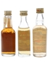 Bermudez, Cana 65 & Morey Ron Del Moro  3 x 5cl