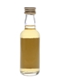 Arran 1996 1 Year Old Spirit  5cl / 61.5%