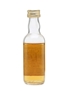 Port Ellen 1971 Connoisseurs Choice Bottled 1990s - Gordon & MacPhail 5cl / 40%