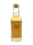 Dumbarton 1961 29 Year Old Bottled 1990 - Signatory Vintage 5cl / 46%