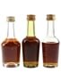 Hennessy Bras Arme & VS Bottled 1960s-1980s 3 x 4cl-5cl / 40%