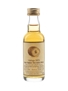 Longmorn 1973 21 Year Old Bottled 1994 - Signatory Vintage 5cl / 54.9%