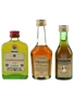 Hennessy VSOP, Courvoisier 3 Star Luxe & Martell VSOP  3 x 3cl-5cl / 40%