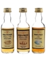 Pride Of Islay, Strathspey & Orkney 12 Year Old Bottled 1990s - Gordon & MacPhail 3 x 5cl / 40%