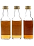 Pride Of Islay, Strathspey & Orkney 12 Year Old Bottled 1990s - Gordon & MacPhail 3 x 5cl / 40%