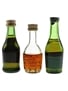 Bisquit 3 Star, Foucauld VSOP & Hardy Fine Champagne  3 x 3cl-3.2cl / 40%