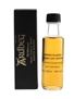 Ardbeg Blaaack Argbeg Day Edition Release 2020 - Trade Sample 10cl / 46%