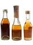 Assorted Cognac Hine Signature, Caveau 3 Star, Marnier VSOP 3 x 3cl-5cl / 40%