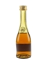 Janneau XO Armagnac  5cl / 40%