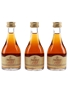 Remy Martin 1738  3 x 5cl