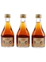 Remy Martin 1738  3 x 5cl