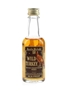 Wild Turkey Bottled 1980s - Austin Nichols 5cl / 43.4%