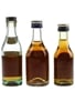 Martell 3 Star Bottled 1950s-1970s 3 x 3cl-5cl / 40%