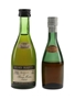 Remy Martin VSOP Bottled 1970s 2 x 3-5cl / 40%