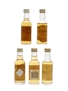 Buchanan 8 Year Old, Daks, Langs Supreme, Pig's Nose & Rockhopper Tipple  5 x 5cl