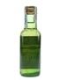 Laphroaig 12 Year Old The Old Malt Cask Douglas Laing 5cl / 50%