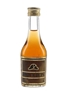 Napoleon Brandy VSOP  5cl / 40%