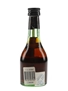 Torres 10 Gran Reserva  5cl / 38%