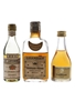 Napoleon VSOP, De Latonnell 3 Star & Grandier Freres 5 Star  3 x 4.6cl - 5cl / 40%