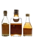 Napoleon VSOP, De Latonnell 3 Star & Grandier Freres 5 Star  3 x 4.6cl - 5cl / 40%