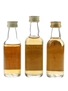 Glenallachie, Cragganmore & Glen Moray 12 Year Old  3 x 5cl / 40%