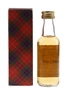 Mannochmore 1984 Connoisseurs Choice Bottled 1990s - Gordon & MacPhail 5cl / 40%