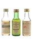 Assorted Single Malts Cragganmore, Glenlivet & Inchgower 3 x 5cl / 40%