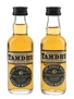 Tamdhu 10 Year Old Bottled 1980s 2 x 5cl / 40%