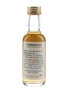 Auchentoshan Bottled 1993 - 25 Years Of UK Air Defence 5cl / 40%