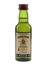 Jameson  5cl / 40%