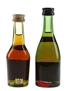 Martell Medaillon & Remy Martin VSOP Bottled 1980s 2 x 3cl-5cl / 40%