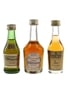 Bisquit VSOP, Hine Signature & Hennessy Very Special Bottled 1970s - 1980s 3 x 3cl- 5cl / 40%