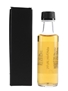 Ardbeg Scorch Trade Sample 10cl / 46%