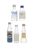 Assorted Vodka Miniatures Including Smirnoff and Absolut 5 x 5cl / 40%