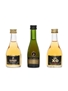 Cognac & Brandy Miniatures Remy Martin 3 x 5cl