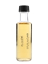 Ardbeg 19 Year Old Traigh Bhan Trade Sample 10cl / 46.2%