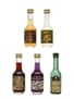 Assorted Bols Liqueur Miniatures  5 x 3.5cl