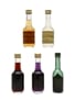 Assorted Bols Liqueur Miniatures  5 x 3.5cl