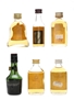 Assorted Blended Scotch Whisky Miniatures Bell's, Whyte & Mackay, Vat 69, White Horse 6 x 5cl