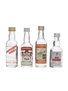 Assorted Vodka Miniatures Smirnoff, Stolichnaya, Wyborowa 4 x 5cl